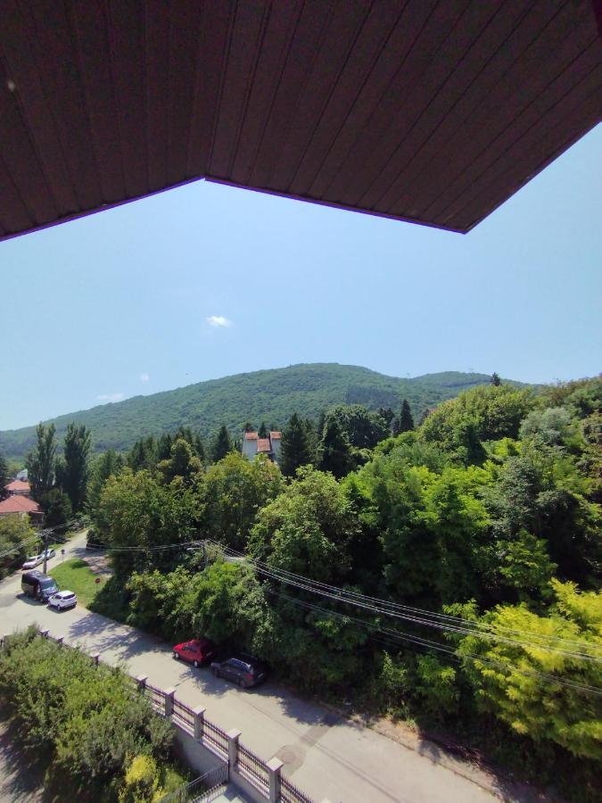 Vila Marko Niska Banja Exterior foto