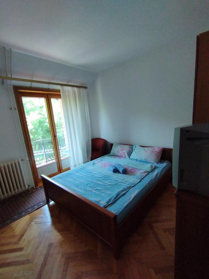 Vila Marko Niska Banja Exterior foto