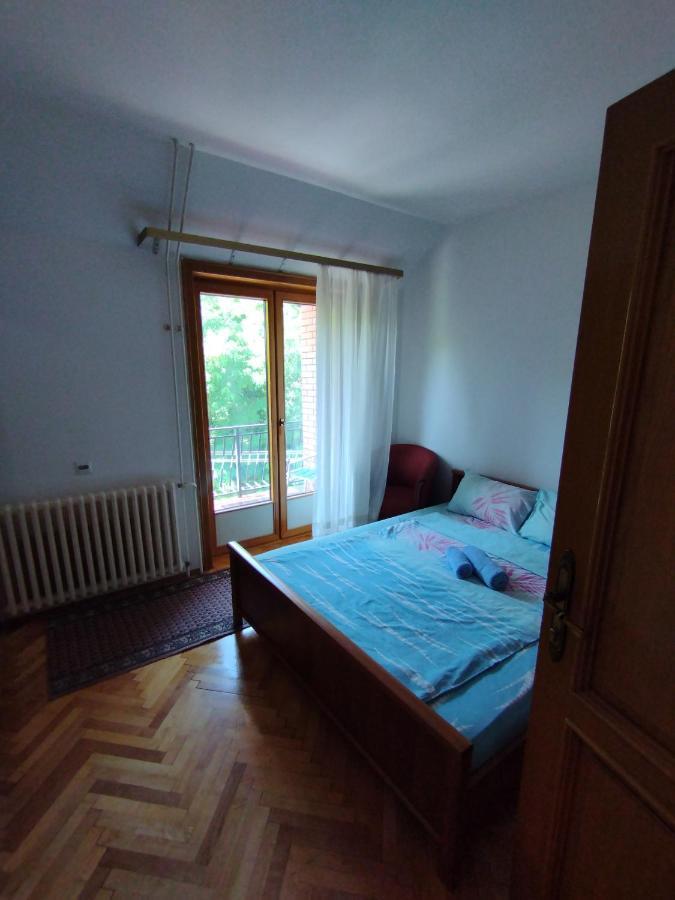 Vila Marko Niska Banja Exterior foto